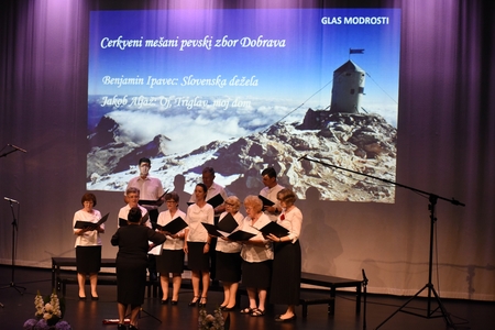 Glasovi domovine 46